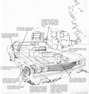 The tiny forrest creature used its x-ray-vision